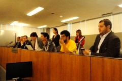 AUDIÊNCIA PÚBLICA DA CPP - REQUERIMENTO ESPAÇO COMUM LUIZ ESTRELA