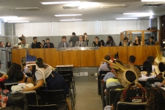 AUDIÊNCIA PÚBLICA - EDUCAÇÃO INDÍGENA 