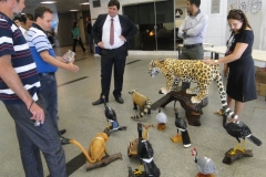 DIVERSIDADE, TALENTO E ARTE DO  NOSSO POVO.